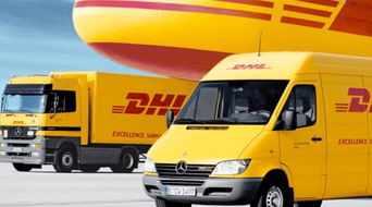 國際物流行業(yè)標桿企業(yè)dhl選擇mchr
