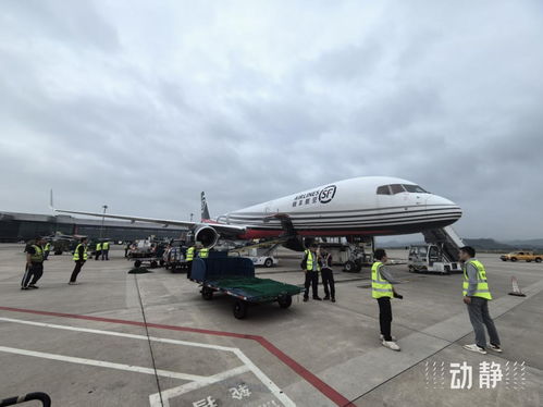 貴陽(yáng)往返印度的兩條國(guó)際貨運(yùn)航線今年運(yùn)送貨物近1000噸